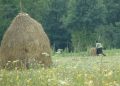 vrei-sa-te-muti-la-tara?-patria-bank-si-niste-oraseni-lanseaza-un-ghid-de-relocare-in-rural