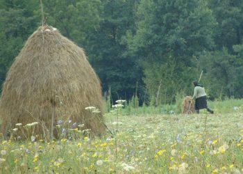 vrei-sa-te-muti-la-tara?-patria-bank-si-niste-oraseni-lanseaza-un-ghid-de-relocare-in-rural