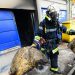 incident-terifiant-in-franta.-un-tanar-de-25-de-ani-a-fost-decapitat-de-focurile-de-artificii