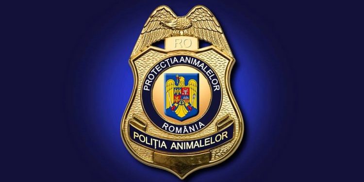 bataie-pe-posturile-la-politia-animalelor-4300-de-oameni-inscrisi-si-doar-264-de-pozitii-disponibile.-care-sunt-motivele