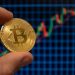 avertisment-pentru-britanici:-cei-care-investesc-in-bitcoin-sa-fie-pregatiti-sa-piarda-toti-banii