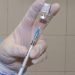 cati-romani-trebuie-vaccinati-anti-covid-pentru-oprirea-raspandirii-comunitare