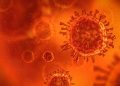 danemarca-a-depistat-primul-caz-de-infectare-cu-noua-tulpina-de-coronavirus-din-africa-de-sud