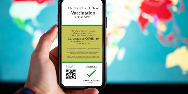 cum-se-vor-verifica-certificatele-de-vaccinare.-explicatiile-lui-alin-stoica