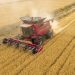 tara-care-se-confrunta-cu-cea-mai-grava-seceta-din-ultimii-100-de-ani.-„industria-agricola-inseamna-30%-din-pib”