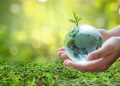 care-este-impactul-noilor-politici-europene-asupra-agriculturii-din-romania?-concluziile-conferintei-sierra-quadrant