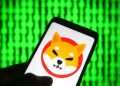 un-barbat-a-transformat-criptomonede-shiba-inu-in-valoare-de-8000-de-dolari-in-5,7-miliarde-de-dolari