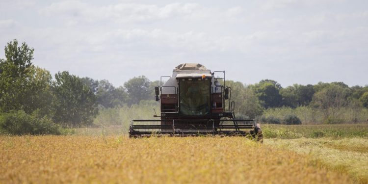 2021-a-fost-anul-firmelor-din-agricultura-s-au-infiintat-15.000-de-intreprinderi