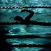o-inotatoare-transgender-a-doborat-recordurile-feminine.-ea-a-concurat-trei-sezoane-in-competitiile-masculine