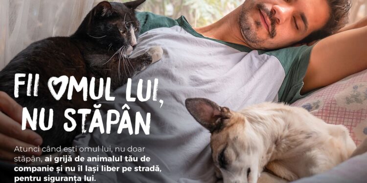 ”Fii un stăpân responsabil!” – campania care își propune să responsabilizeze milioane de iubitori de animale