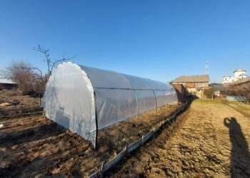 Cum a reușit un cuplu tânăr din Bistrița să transforme o curte părăsită într-o mică afacere cu legume proaspete – totul cu un solar de grădină de la solarii-izosun.ro