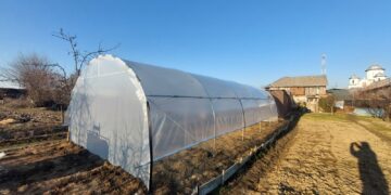 Cum a reușit un cuplu tânăr din Bistrița să transforme o curte părăsită într-o mică afacere cu legume proaspete – totul cu un solar de grădină de la solarii-izosun.ro